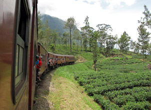 Scenery from a Colombo-Kandy train