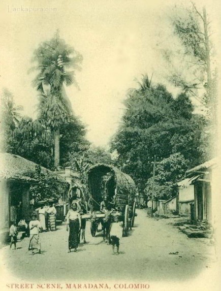 Street Scene at Maradana, Colombo, Ceylon in 1906